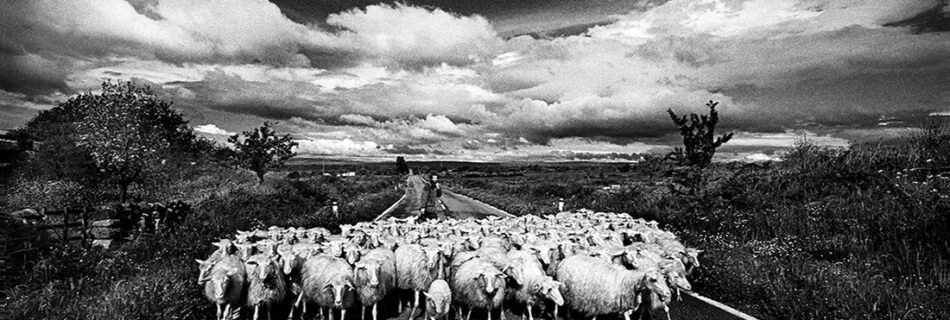 corigliano calabro fotografia book award